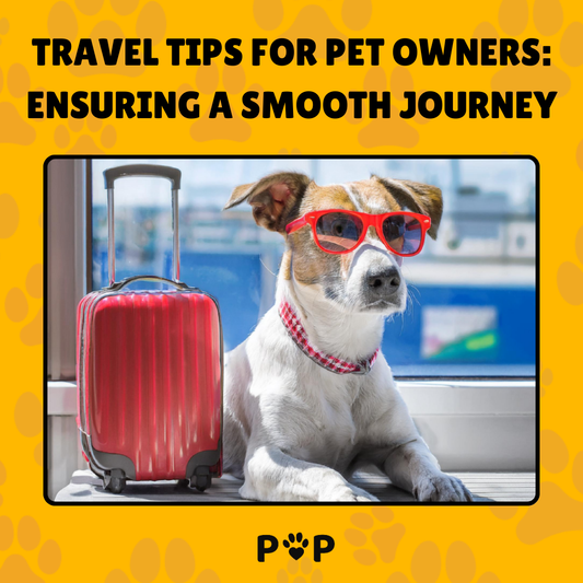 Travel Tips for Pet Owners: Ensuring a Smooth Journey