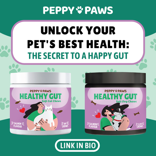 Unlock Your Pet's Best Health: The Secret to a Happy Gut