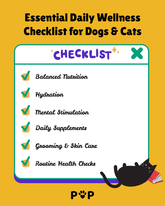 Essential Daily Wellness Checklist for Dogs and Cats