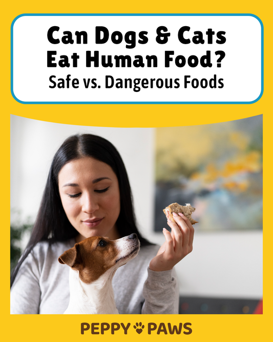 Can Dogs & Cats Eat Human Food? Safe vs. Dangerous Foods