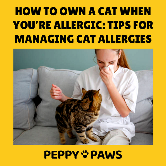 How to Own a Cat When You’re Allergic: Tips for Managing Cat Allergies