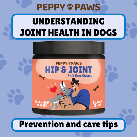 Understanding Joint Health in Dogs: Prevention and Care Tips