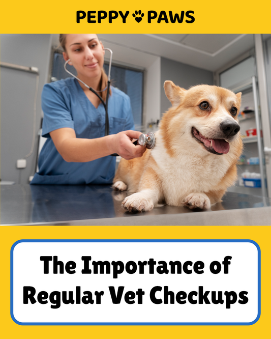 The Importance of Regular Vet Checkups: Preventative Care for a Healthier Pet