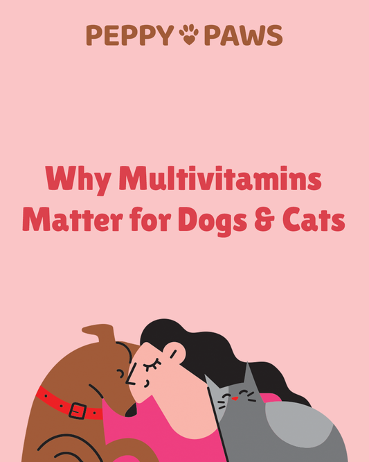 Multivitamins for Pets: Are They Really Necessary?