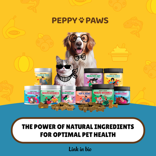 The Power of Natural Ingredients for Optimal Pet Health