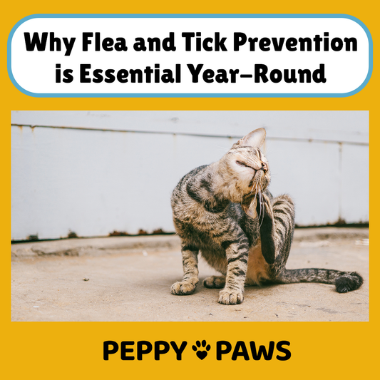 Why Flea and Tick Prevention is Essential Year-Round