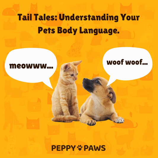 Tail Tales: Unraveling Your Pet’s Body Language